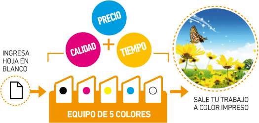 equipo de 5 colores